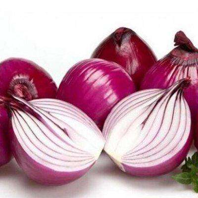 Onion Dryer Machine Price in India
